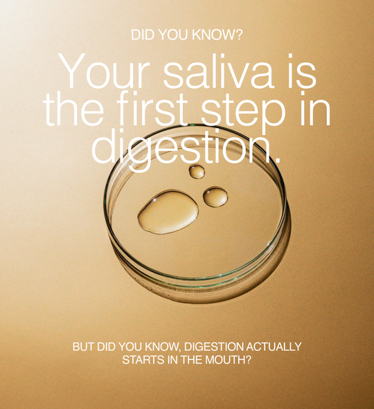 Did You know? Your Saliva Is The First Step of Digestion