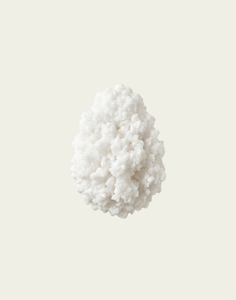 White coral-like sculpture on a beige background