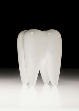 White ceramic tooth model on a reflective surface with a black background